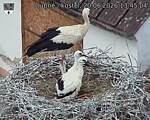 Capi_Dubne_20260620_134504.jpg