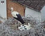 Capi_Dubne_20260620_141504.jpg