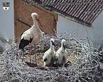 Capi_Dubne_20260620_154004.jpg
