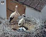 Capi_Dubne_20260620_154504.jpg