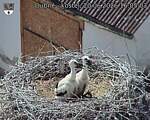 Capi_Dubne_20260620_160503.jpg