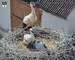 Capi_Dubne_20260620_165005.jpg
