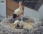 Capi_Dubne_20260620_172503.jpg