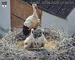 Capi_Dubne_20260620_174003.jpg