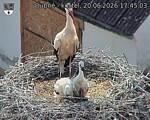 Capi_Dubne_20260620_174503.jpg