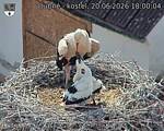 Capi_Dubne_20260620_180004.jpg