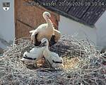 Capi_Dubne_20260620_181004.jpg