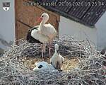 Capi_Dubne_20260620_182504.jpg