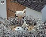 Capi_Dubne_20260620_183003.jpg