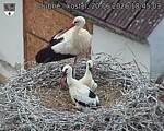 Capi_Dubne_20260620_184503.jpg