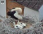 Capi_Dubne_20260620_190003.jpg