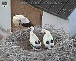Capi_Dubne_20260620_200002.jpg