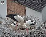 Capi_Dubne_20260620_202002.jpg