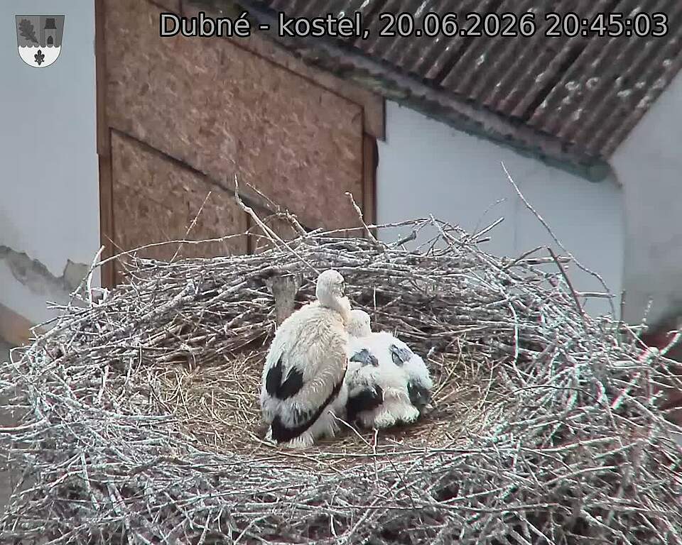 preload