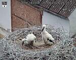 Capi_Dubne_20260620_210503.jpg