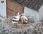 Capi_Dubne_20260620_212003.jpg