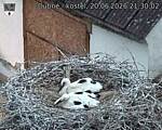 Capi_Dubne_20260620_213002.jpg