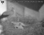 Capi_Dubne_20260620_220002.jpg