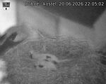 Capi_Dubne_20260620_220502.jpg