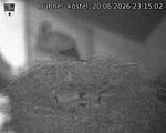 Capi_Dubne_20260620_231502.jpg