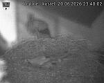 Capi_Dubne_20260620_234002.jpg