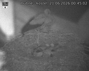 preload