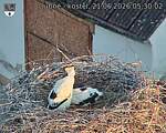 Capi_Dubne_20260621_053002.jpg