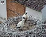 Capi_Dubne_20260621_161505.jpg