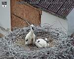 Capi_Dubne_20260621_163505.jpg