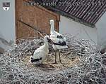 Capi_Dubne_20260621_170505.jpg