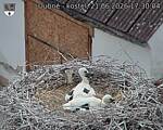 Capi_Dubne_20260621_173004.jpg