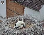 Capi_Dubne_20260621_173505.jpg