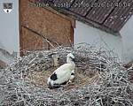 Capi_Dubne_20260621_174004.jpg