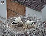 Capi_Dubne_20260621_181005.jpg