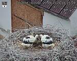 Capi_Dubne_20260621_182504.jpg