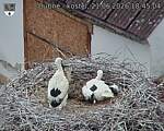 Capi_Dubne_20260621_184504.jpg