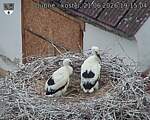 Capi_Dubne_20260621_191504.jpg