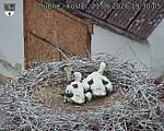 Capi_Dubne_20260621_193005.jpg