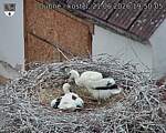 Capi_Dubne_20260621_195005.jpg