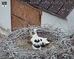 Capi_Dubne_20260621_203004.jpg