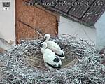 Capi_Dubne_20260621_211504.jpg