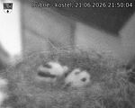 Capi_Dubne_20260621_215004.jpg