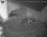 Capi_Dubne_20260621_223004.jpg