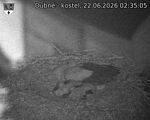 Capi_Dubne_20260622_023505.jpg
