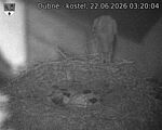 Capi_Dubne_20260622_032004.jpg