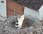 Capi_Dubne_20260622_045005.jpg