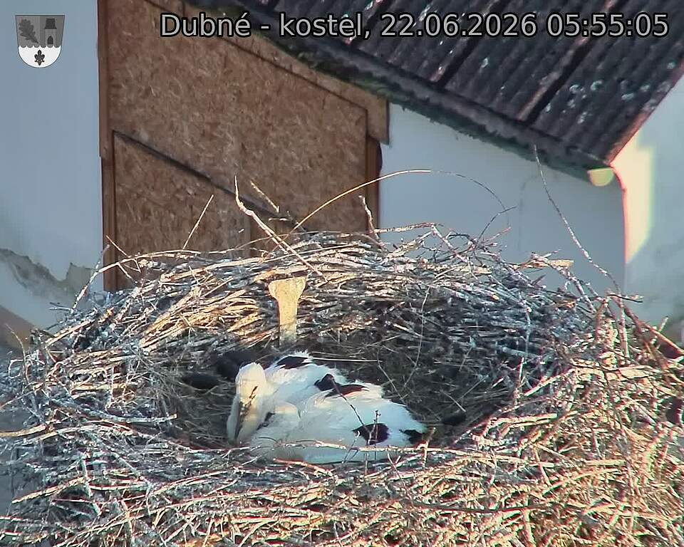 preload