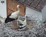 Capi_Dubne_20260622_141503.jpg