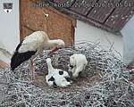 Capi_Dubne_20260622_150504.jpg