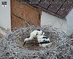 Capi_Dubne_20260622_161004.jpg